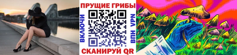 купить  цена  Балахна  Галлюциногенные грибы мухоморы 